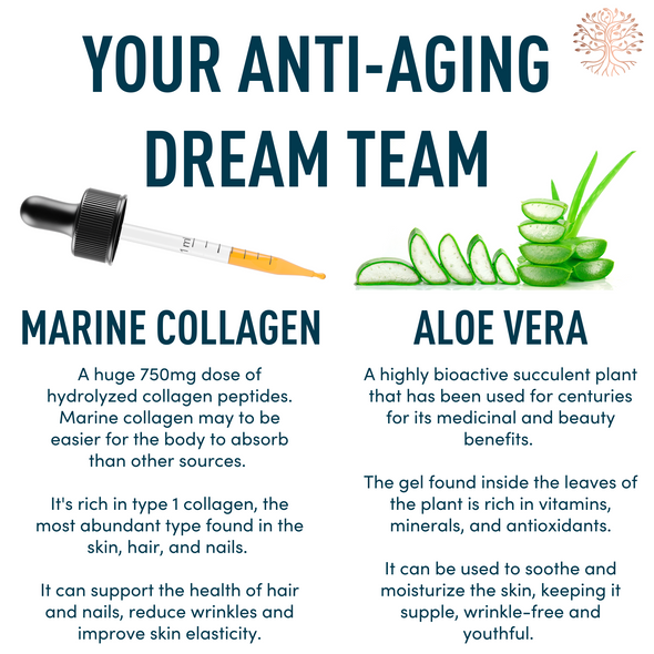 Windsor Botanicals Marine Liquid Collagen Plus Aloe Vera - Collagen Drink for Women and Men for Skin, Hair Growth Supplement - 60ml