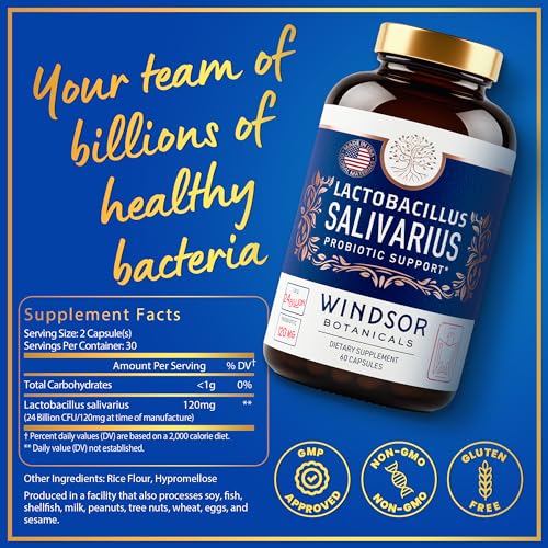 Windsor Botanicals Lactobacillus Salivarius Probiotic Capsules - Bad Breath, Teeth and Gums Health - 24 billion CFU 60 Capsules