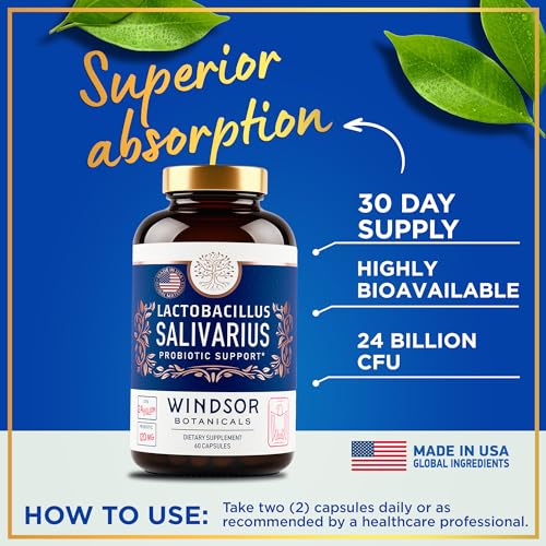 Windsor Botanicals Lactobacillus Salivarius Probiotic Capsules - Bad Breath, Teeth and Gums Health - 24 billion CFU 60 Capsules