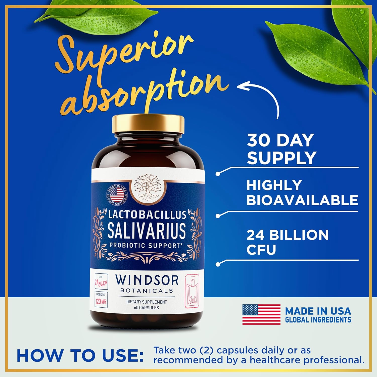 NOW Supplements, Probiotic Defense, Probiotic Blend In A Whole Food Base With 1 Billion Organisms 90 Veg Capsules - Foto 6