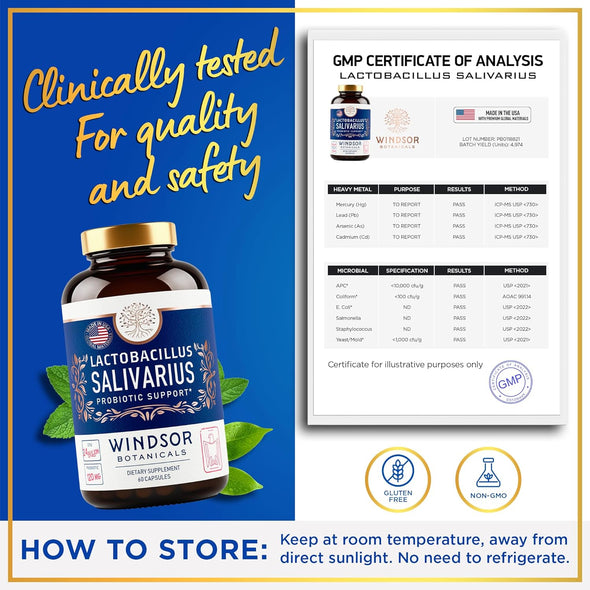 Windsor Botanicals 2-pack Lactobacillus Salivarius Probiotic Capsules - Teeth and Gums Health, Bad Breath - 120 Capsules