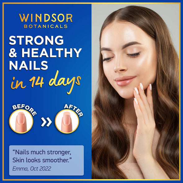 Windsor Botanicals Liquid Collagen Peptides Supplement - Concentrated Hair, Skin, Nail, Joints Support - 2 oz