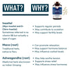 Inositol PCOS Support for Women - Myo and D-Chiro Ovarian Supplement for Symptom Relief, Mood, Fertility, and Weight Control by Windsor Botanicals - With, Ashwagandha, and Maca - 30-Day 120 Vegan Caps
