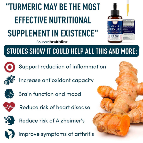 Liquid Turmeric with Black Pepper Curcumin - Windsor Botanicals Bioavailability Enhanced Tincture Supplement - Curcumin with Bioperine Body and Brain Support Drops - Orange Flavor, Vegan - 2oz