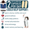 Male Fertility Supplement by Windsor Botanicals - Reproductive Health Support - Concentrated Multi-Vitamin and Mineral Formula - Gluten-Free, Non-GMO, 120 Capsules