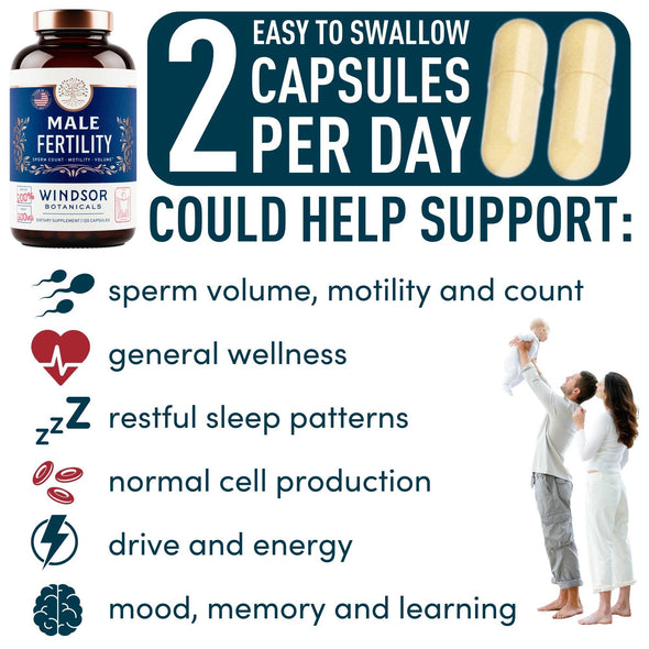 Male Fertility Supplement by Windsor Botanicals - Reproductive Health Support - Concentrated Multi-Vitamin and Mineral Formula - Gluten-Free, Non-GMO, 120 Capsules