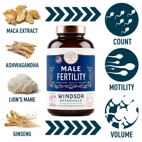 Male Fertility Supplement by Windsor Botanicals - Reproductive Health Support - Concentrated Multi-Vitamin and Mineral Formula - Gluten-Free, Non-GMO, 120 Capsules