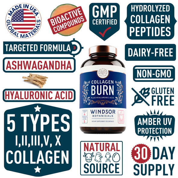 Windsor Botanicals Collagen Burn - Thermogenic Weight Management and Metabolism Support - 90 Capsules