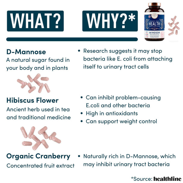 Urinary Tract Health Support Supplement - Windsor Botanicals High Bioavailability D-Mannose, Organic Cranberry, Hibiscus Bladder Wellness Formula for Men and Women - Non-GMO, 30 Day, 60 Vegan Capsules